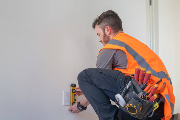 Best Ceiling Fan Installation Electrician  in Chatfield, MN
